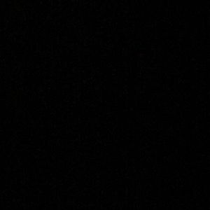 Meet your Posher, Brady